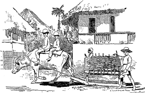 57443_manila_stree_lg