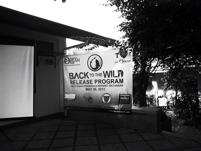 May 26, 2012 7:31 AM