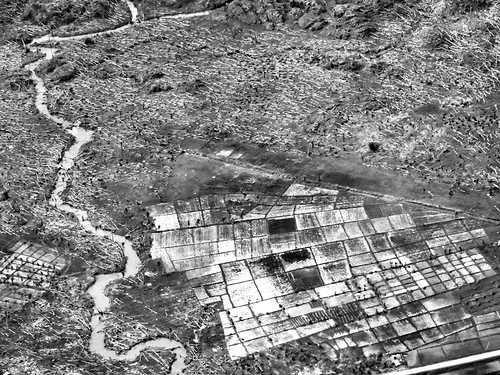 Dec 21, 2012 11:28 AM