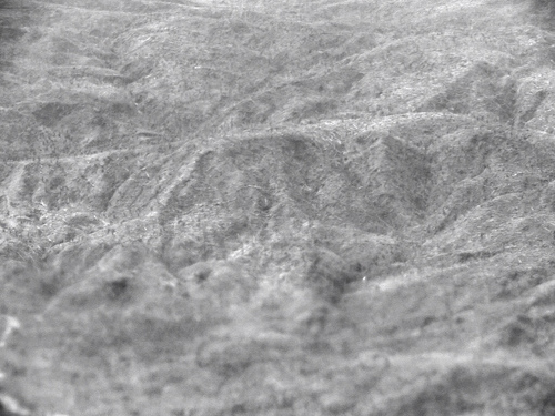 Dec 21, 2012 11:28 AM